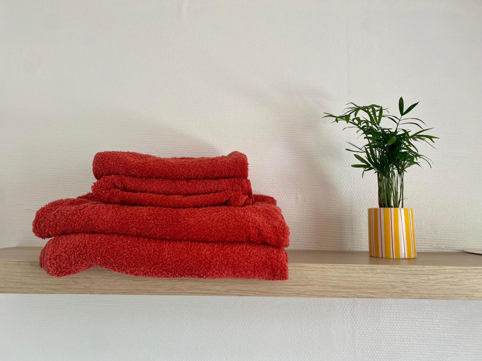 L'Ecrin Du General Apartment อาร์ม็องติแยร์ ภายนอก รูปภาพ